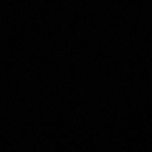 Meet your Posher, Jackson